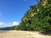 21 Awesome Things To Do In The Daintree Rainforest Schuck Yes