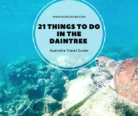 21 Awesome Things to do in the Daintree Rainforest - Schuck Yes