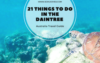 Awesome Things to do in the Daintree Rainforest