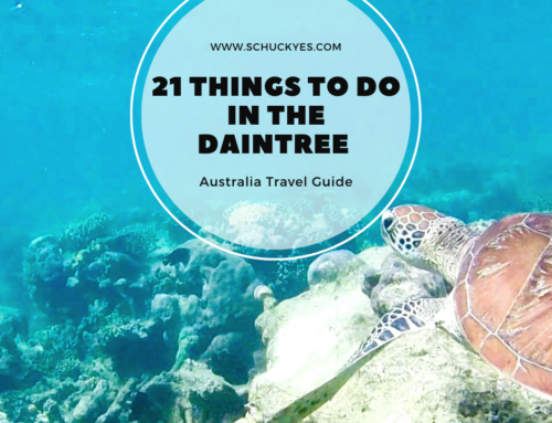 21 Awesome Things to do in the Daintree Rainforest