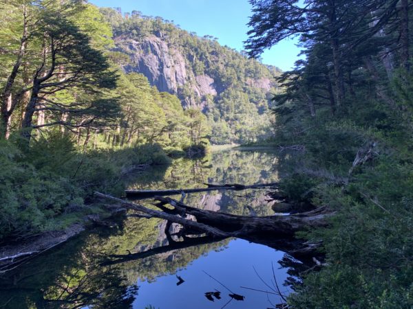 Los Lagos Huerquehue National Park