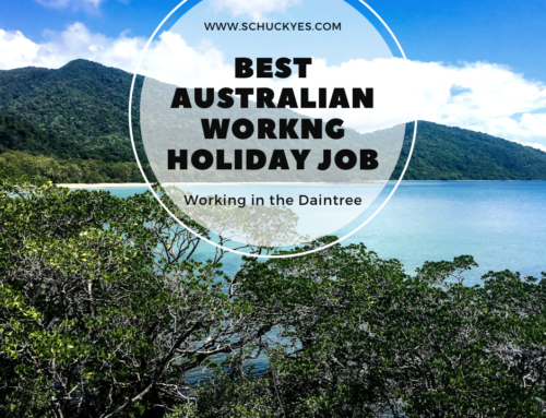 The Best Australian Working Holiday Job