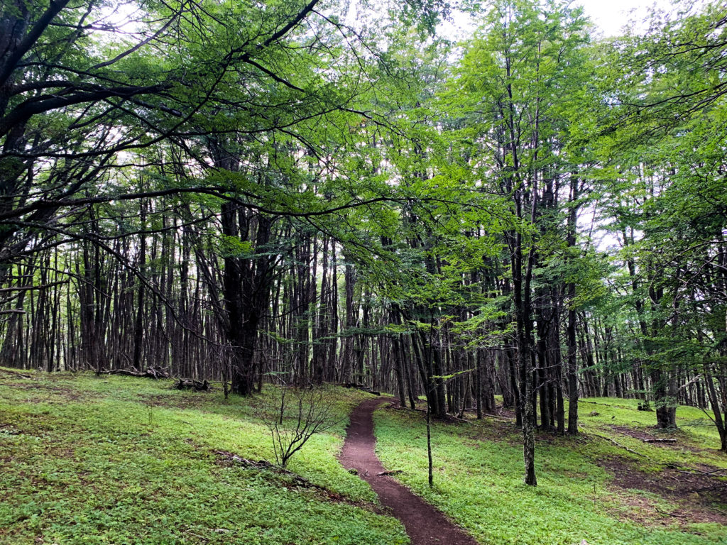 Cerro Castillo Trek