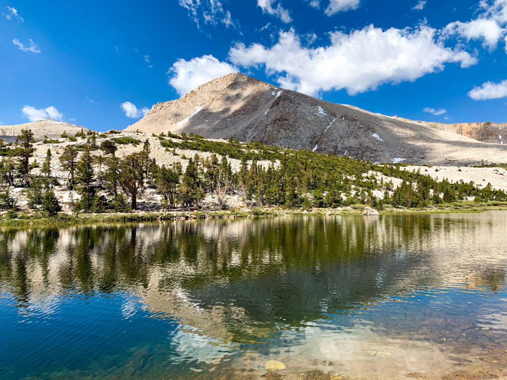 Reflections on Long Lake