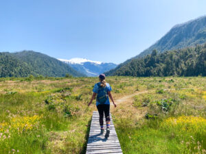 Pumalin Park Hiking