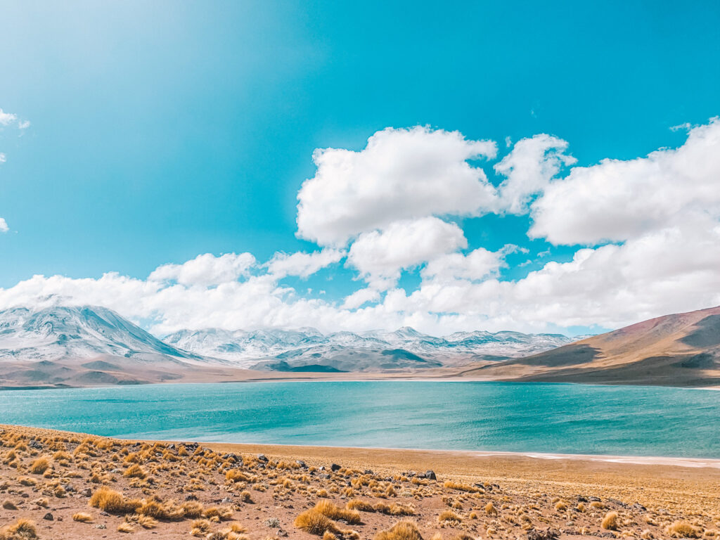 Lagunas Altiplanos Atacama Desert Chile