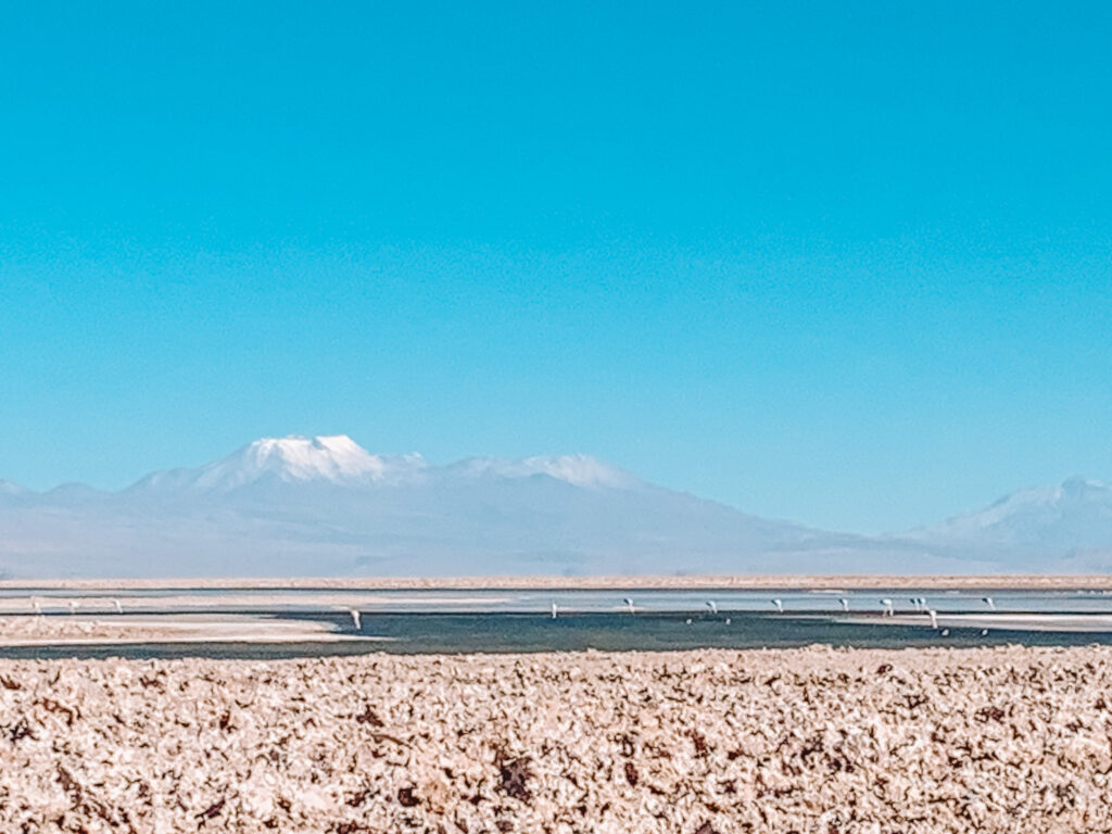 Laguna Chaxa Atacama Desert Chile