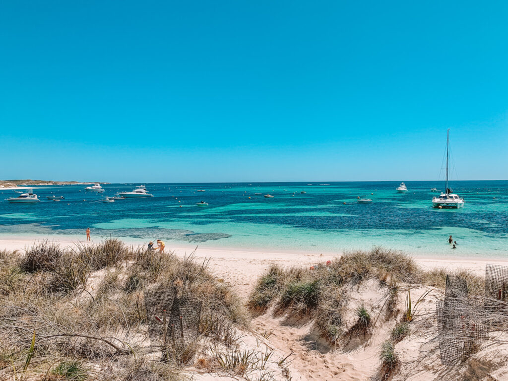 Stark Bay - Rottnest Island Day Trip Itinerary