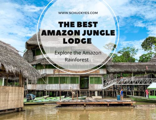 Libertad Jungle Lodge – The Best Amazon Jungle Lodge