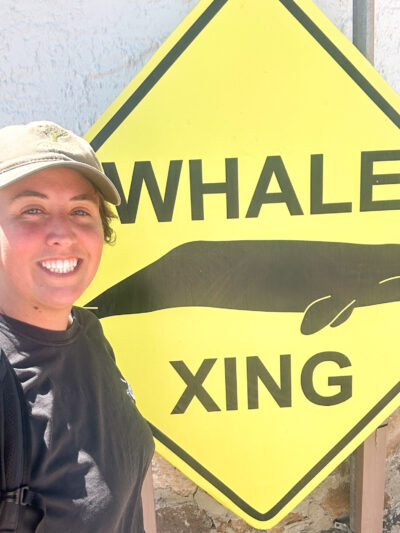 Marios Tours Grey Whale Watching Baja California