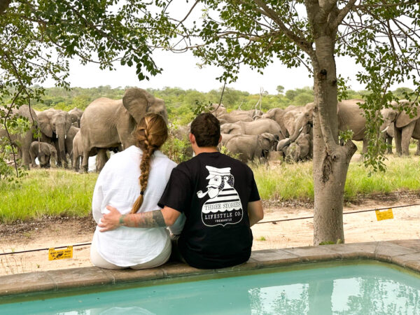 Baobab Ridge Safari Lodge watering hole with elephants