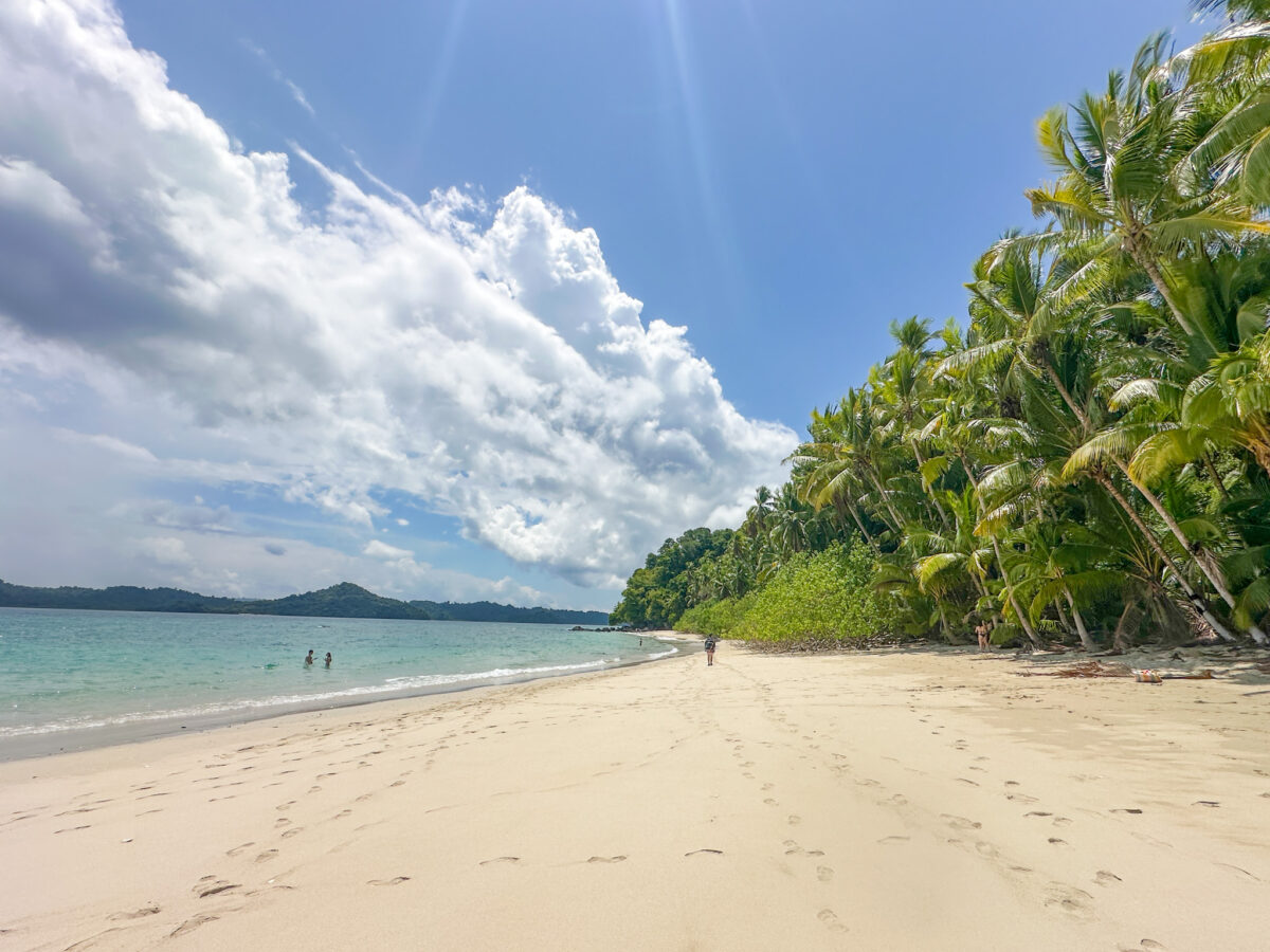 The Best Coiba Island Snorkel Tour - Schuck Yes